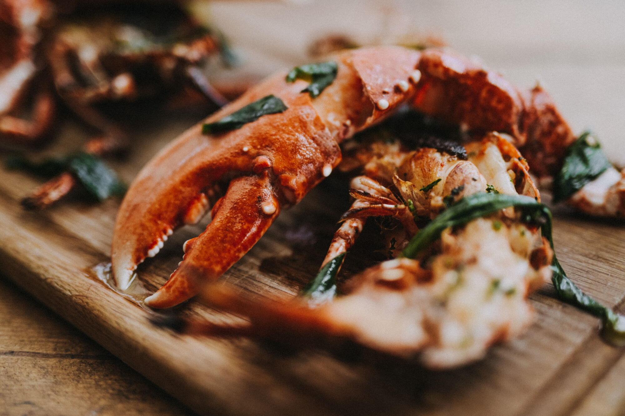 The Wick Culture - Hix Oyster & Fish House, Lyme Regis, Image © Matt Austin