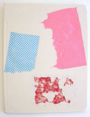 The Wick - Domestic Bliss, Scarlett Bowman

Fragment red blue pink 
Composite Mixed-Media

35 x 28 cm