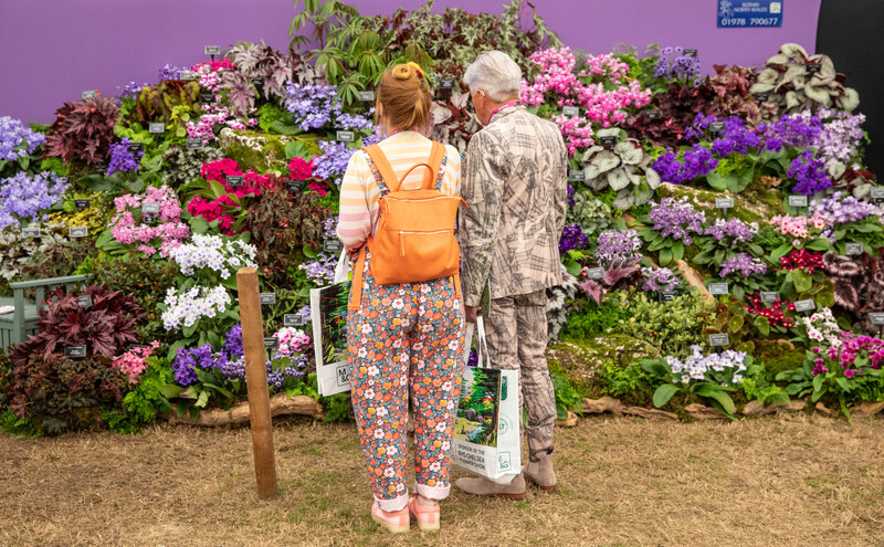 The Wick Culture - Viewing RHS Chelsea Flower Show