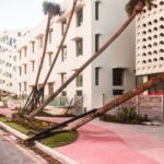 Anastasia Samoylova, Pink Sidewalk