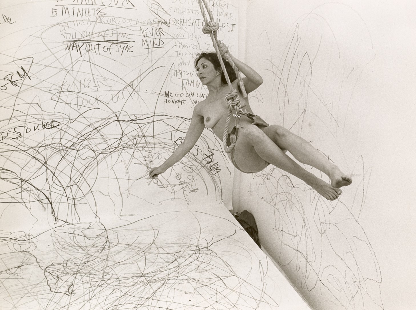 The Wick - Carolee Schneemann, Up to and Including Her Limits
