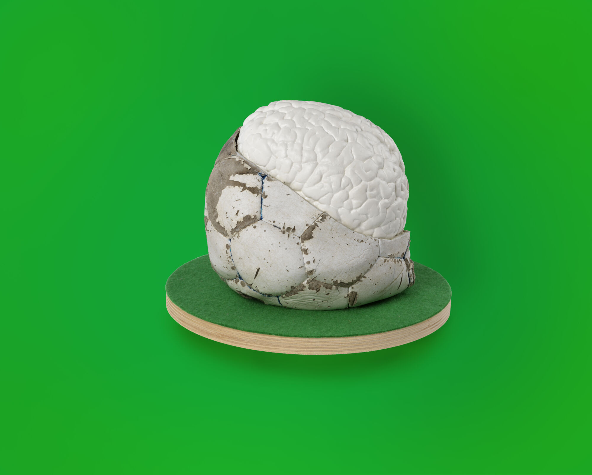 The Wick - Dion Kitson, Football Brain, 2021. Mixed media and cast resin brain, 19 x 26 x 26 cm