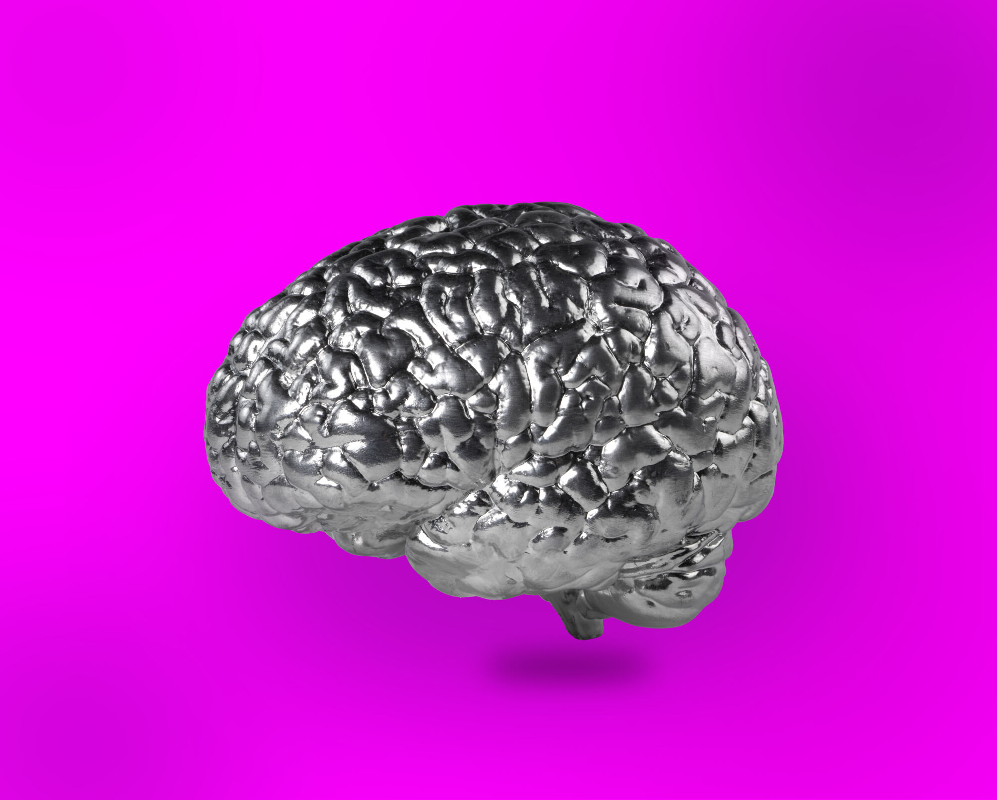 The Wick - Rob & Nick Carter, Silver Lining, 2021. Silver paint on cast resin brain, 9.5 x 17 x 14 cm