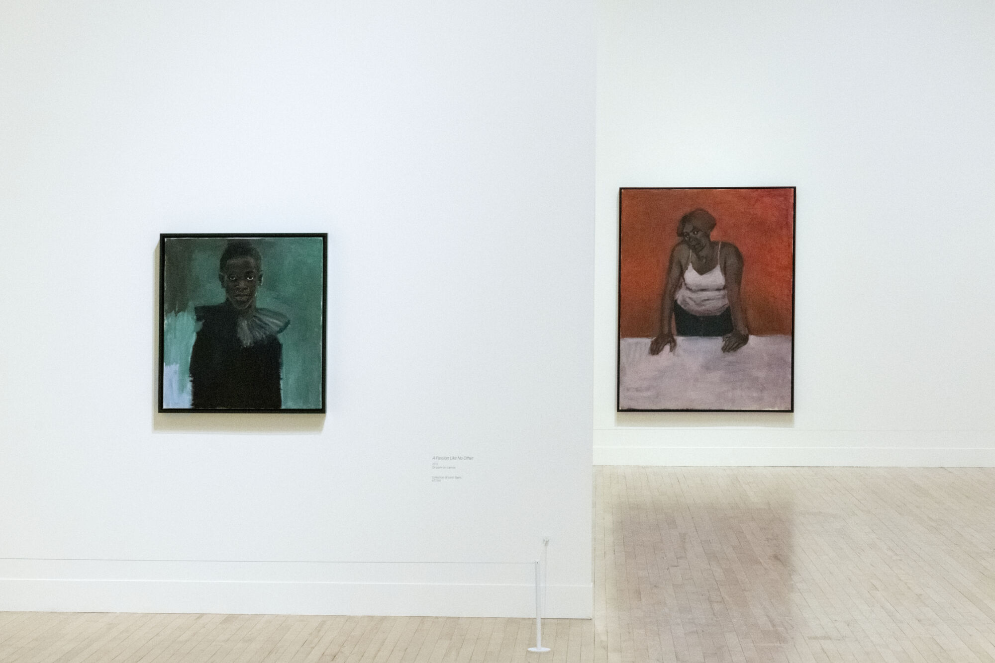 The Wick - Press Photography of Lynette Yiadom-Boakye at Tate Britain, 2022