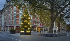The Wick - The Connaught Christmas Tree 2022 (2), courtesy of The Connaught