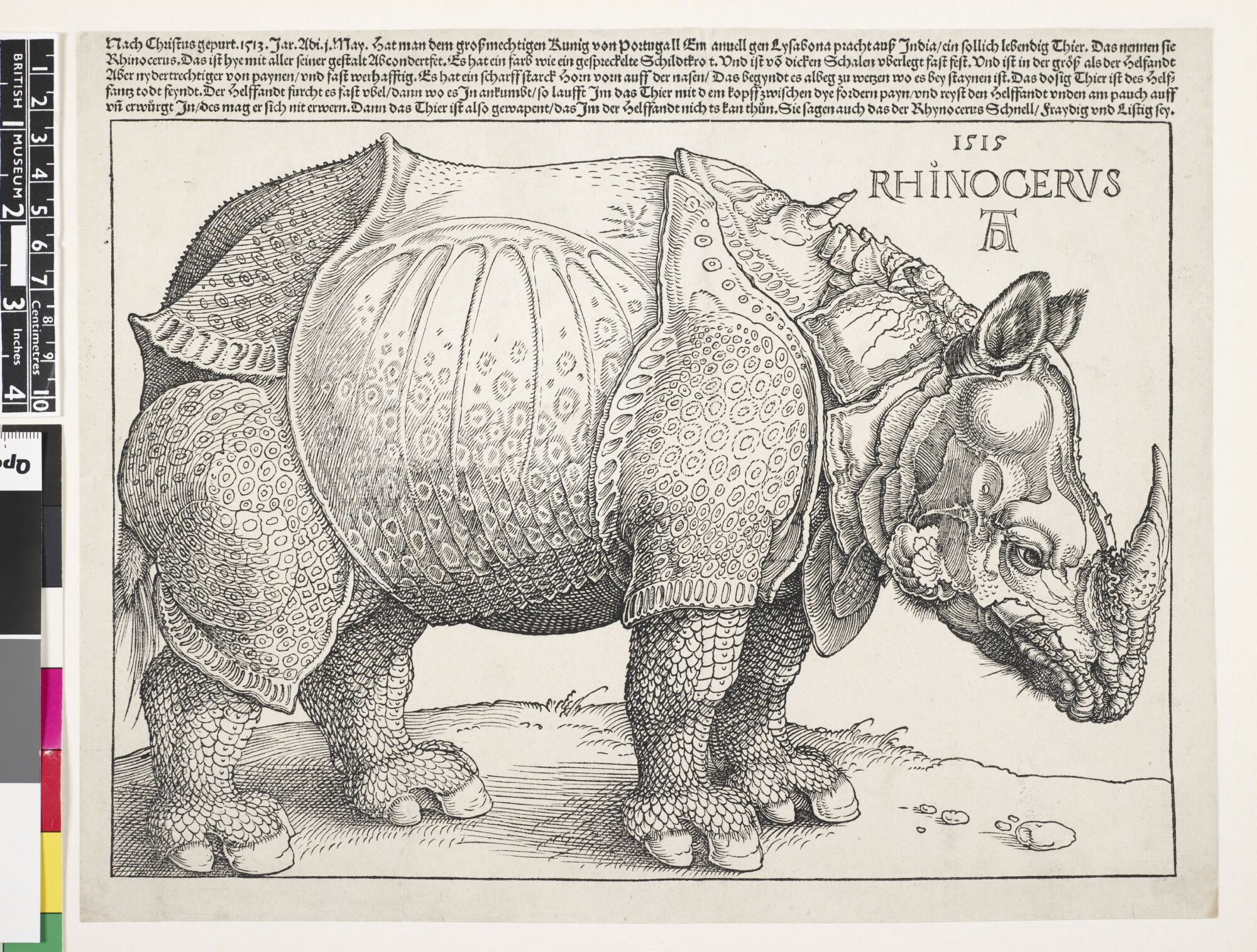 The Wick - The Rhinoceros', Albrecht Durer, Germany, c.1515 © The Trustees of the British Museum