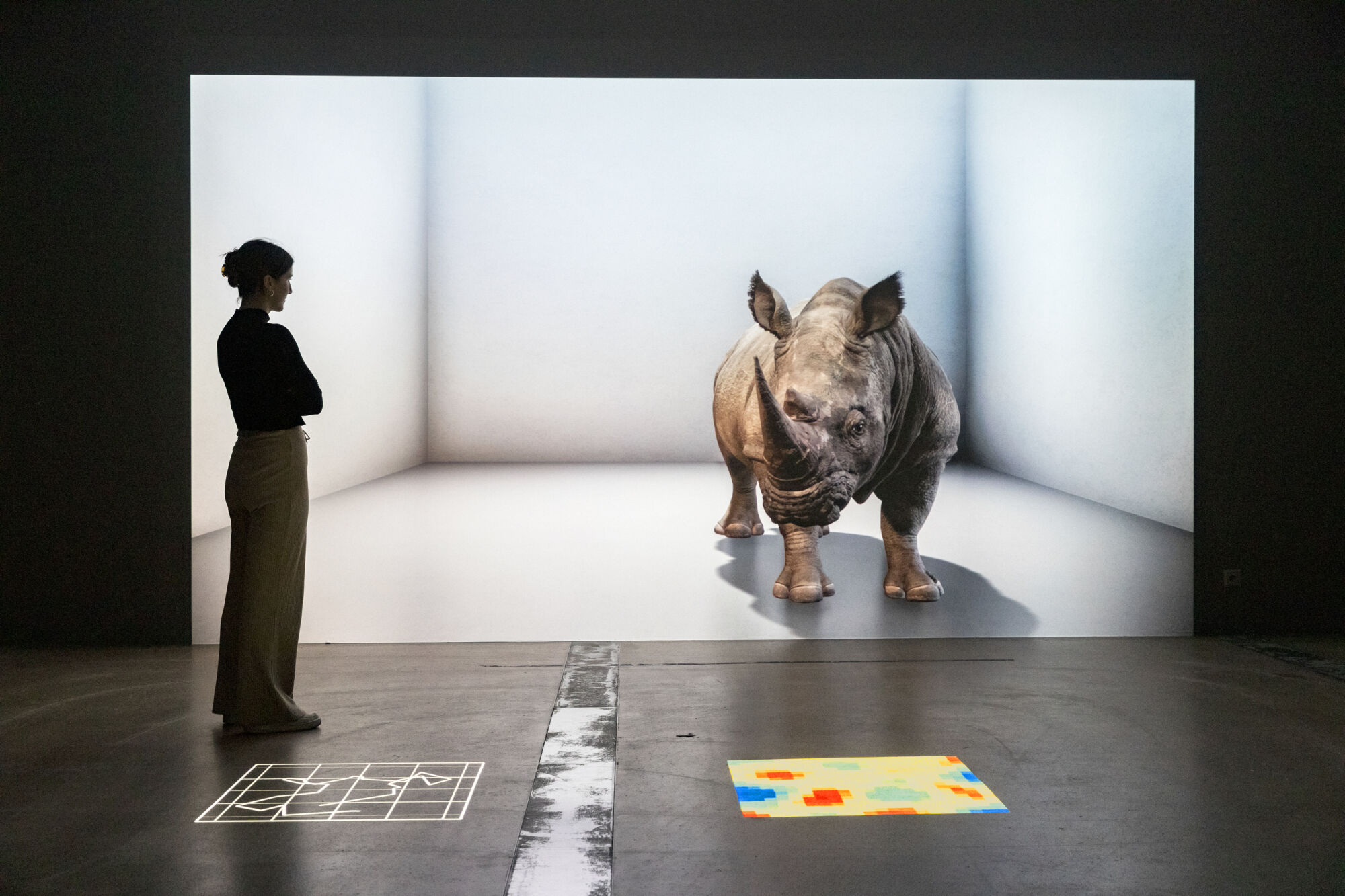 The Wick - Installation view of The Substitute in 'Apocalypse -End Without End' at Natural History Museum, Bern, 2022. Photograph: Nelly Rodriguez.Alexandra Daisy Ginsberg, Video still from The Substitute, 2019, paired video installation (projections), 6 min 18 secs. © Alexandra Daisy 