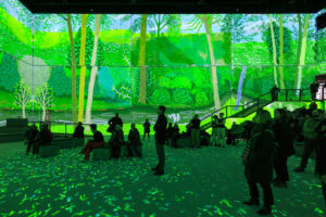 The Wick - David Hockney Bigger & Closer (not smaller & further away) Photo by Justin Sutcliffe