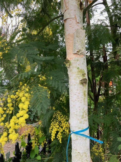 The Wick Culture - Installation Shot of Richard Deacon David Batchelor 'Colours In The Air', courtesy of Handel Street Projects.