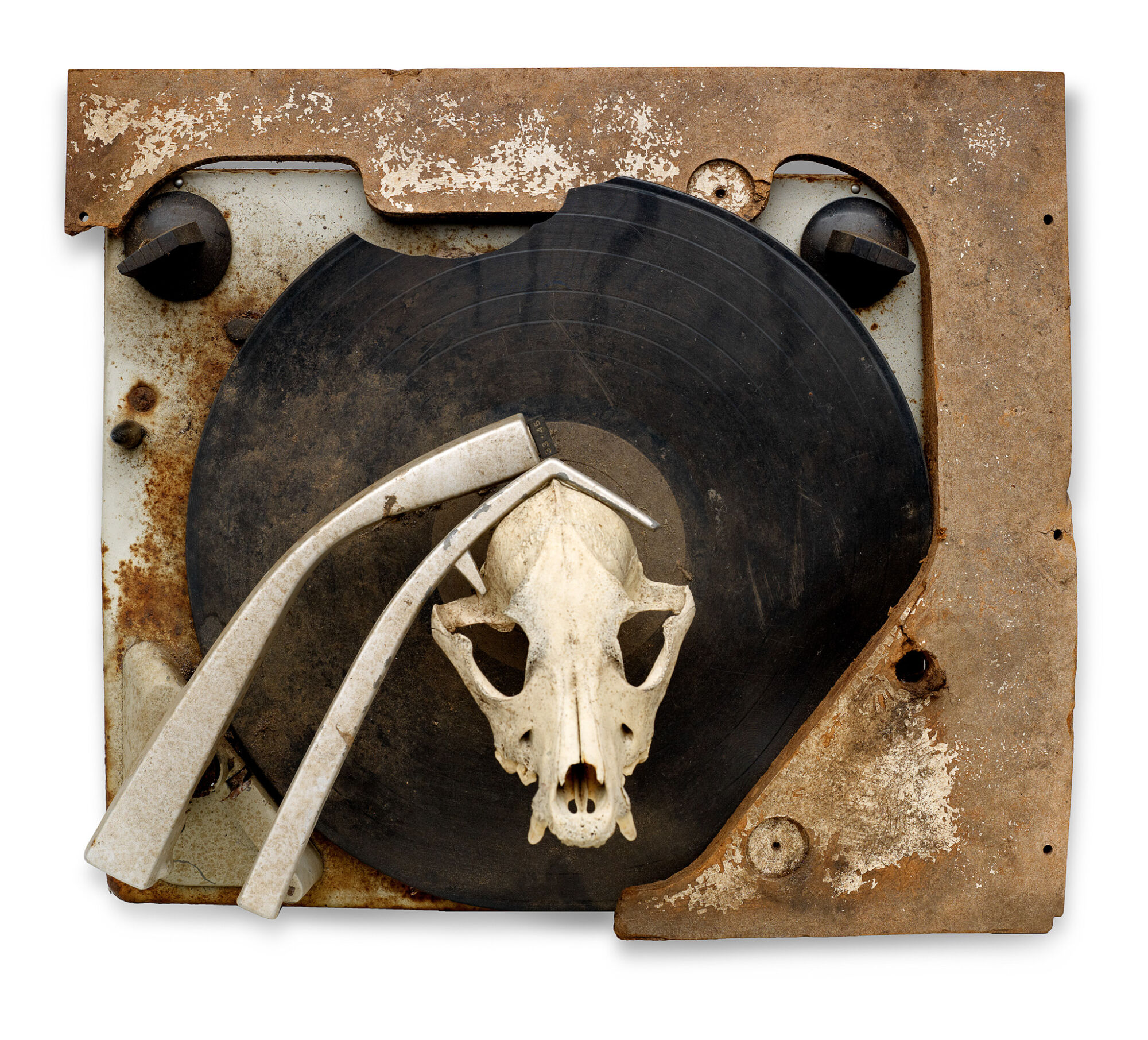 The Wick - Lonnie Holley, Keeping a Record of It (Harmful Music), 1986. Salvaged phonograph top, phonograph record, animal skull, 34.9 x 40 cm. Souls Grown Deep Foundation, Atlanta. © 2023 Lonnie Holley / Artists Rights Society (ARS), New York / DACS, London. Photo: Stephen Pitkin/Pitkin Studio