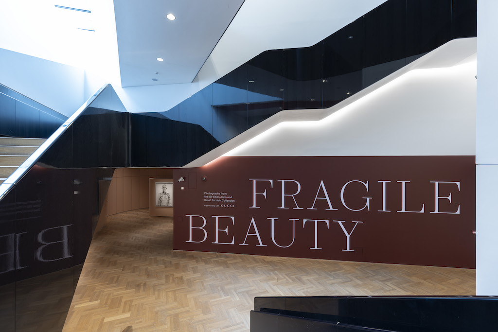 The Wick Culture - Fragile Beauty Exhibition, 14th May 2024