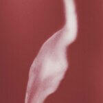 A red background with a pink blurry shape across it.