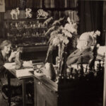 A black and white photo of Sigmund Freud and Marie Bonaparte sitting in a study with various ornaments surrounding them.