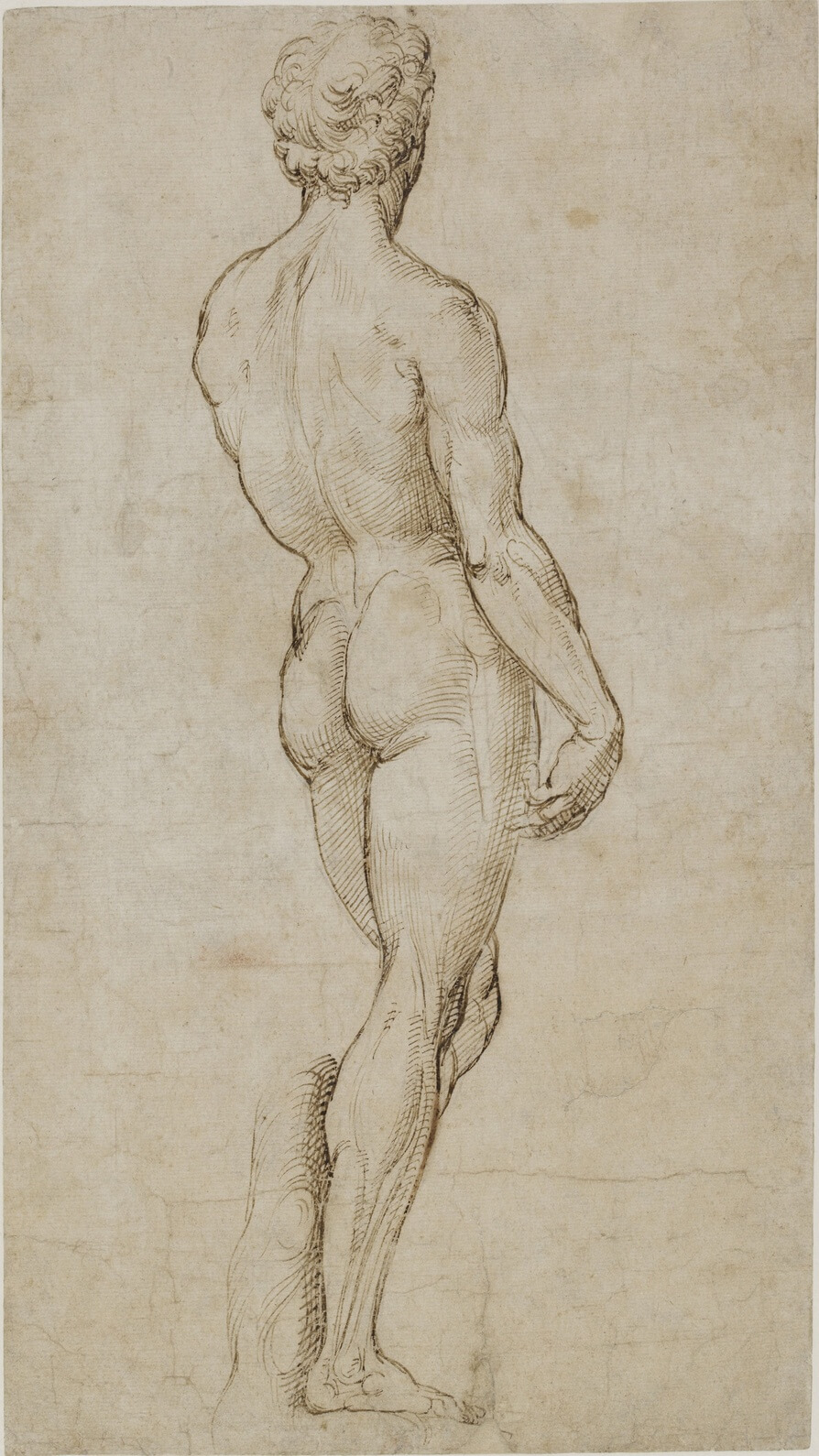 The Wick Culture - Raphael, after Michelangelo Buonarroti, David, c. 1505-08. 
Pen and brown ink on paper, 39.6 x 21.9 cm. 
© The Trustees of the British Museum