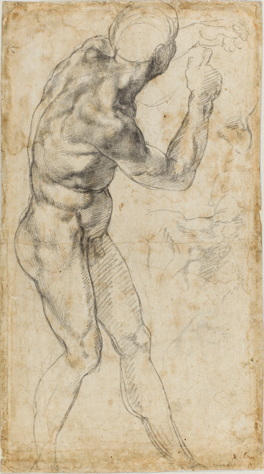 The Wick Culture - Michelangelo Buonarroti, Male Nude, c. 1505-06. 
Black chalk on paper, 40.4 x 22.5 cm. 
Teylers Museum, Haarlem