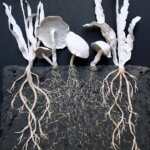 White plants and mushrooms in black soil on a black backgroud.