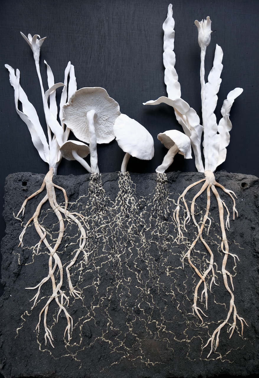 The Wick Culture - Unearthed - Mycelium by Jo Pearl. Photo by Elsa Pearl.