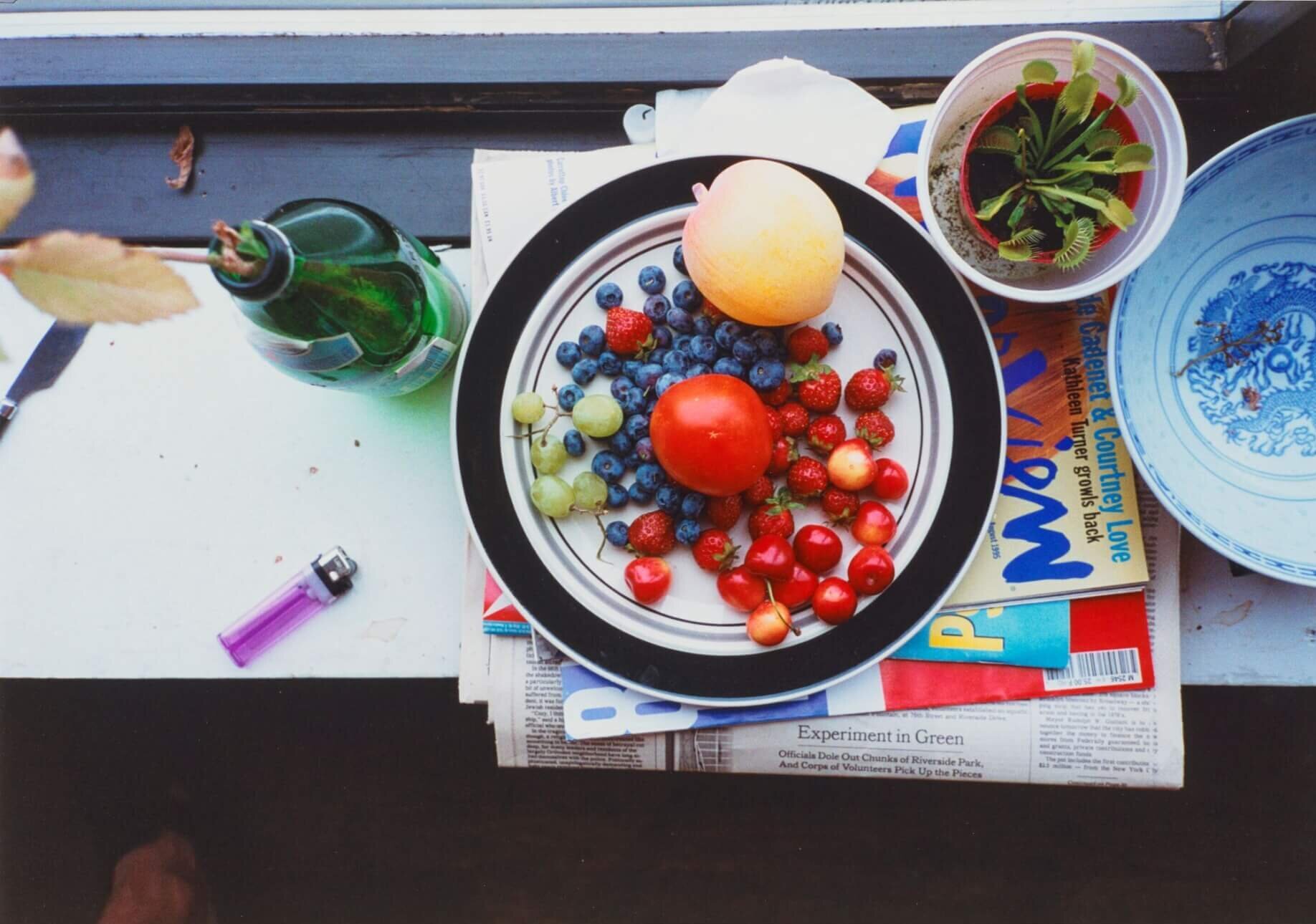 The Wick Culture - Wolfgang Tillmans, Summer still-life, 1995. Photo courtesy of Christie's Images LTD.