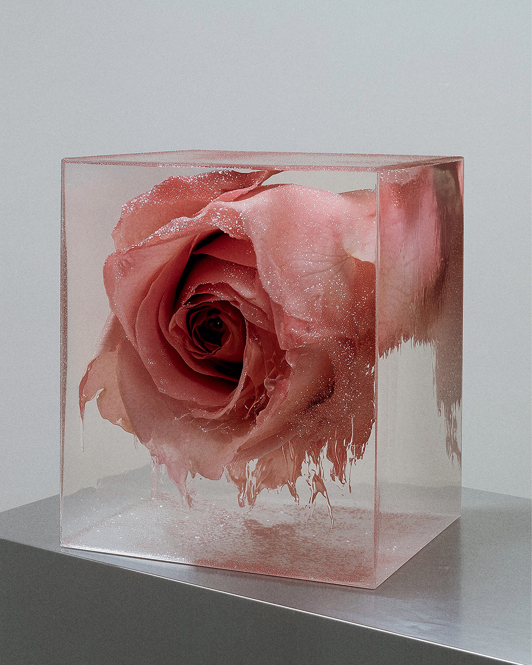 The Wick Culture - Rankin, Faik Off. Image courtesy of Rankin