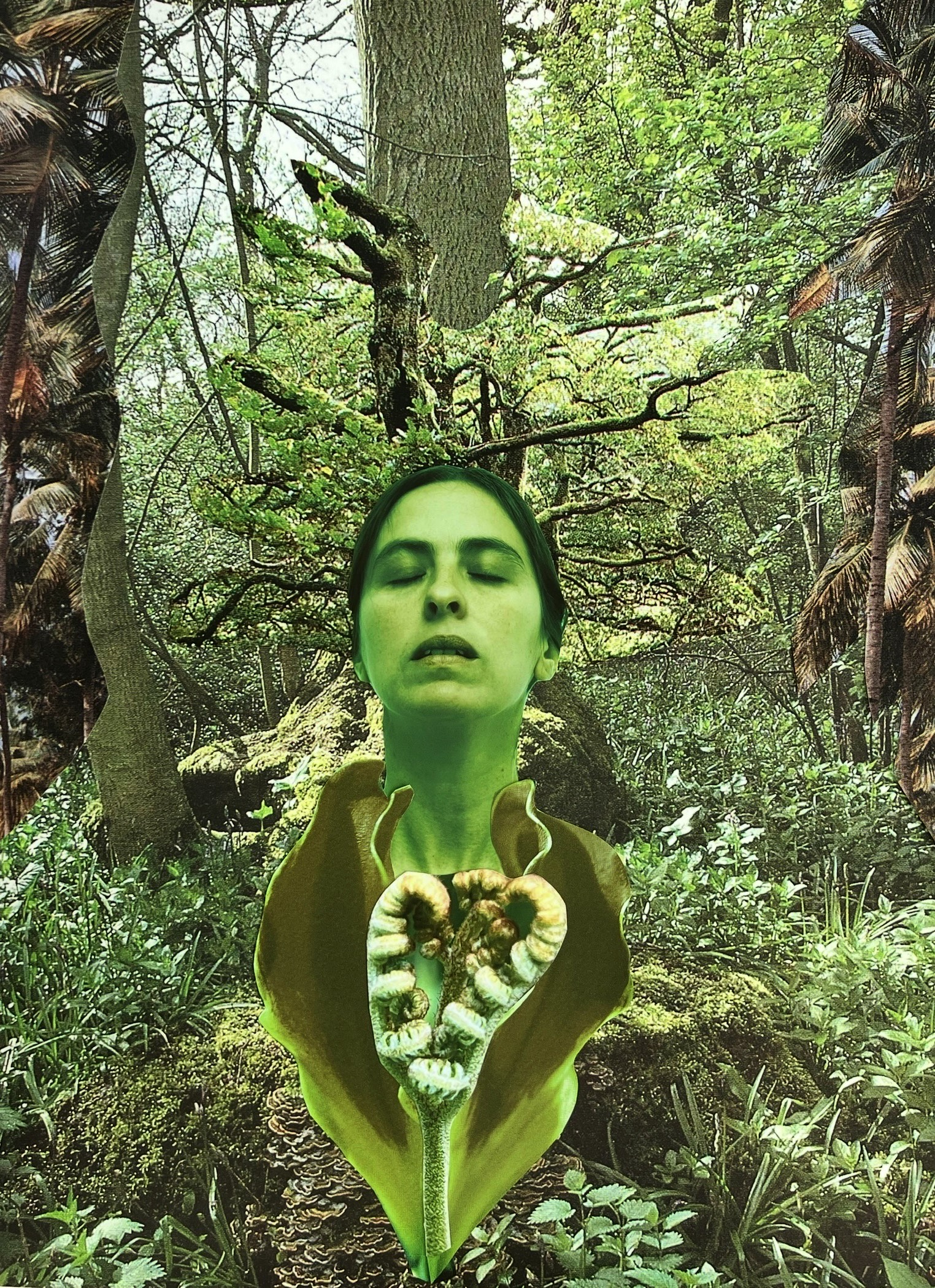 The Wick Culture - Lucia Pizzani, VERDE LONDON NACIENTE, 2025