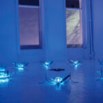 Blue robot-like insects