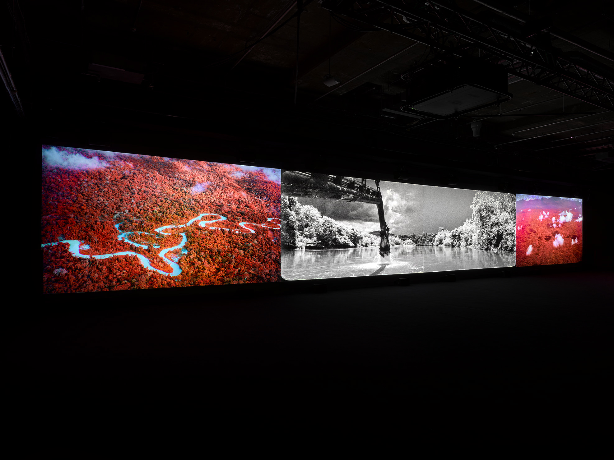 The Wick Culture - Broken Spectre © Richard Mosse. Courtesy of the artist and Jack Shainman Gallery, New York