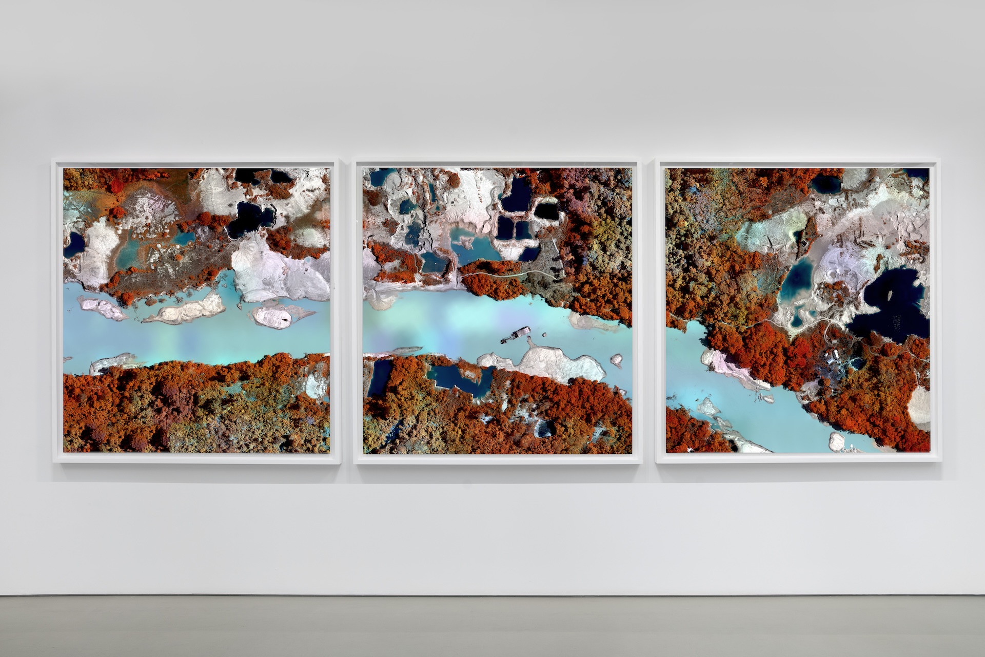 The Wick Culture - Crepori River © Richard Mosse. Courtesy of the artist and Jack Shainman Gallery, New York