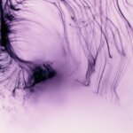A purple abstract artwork