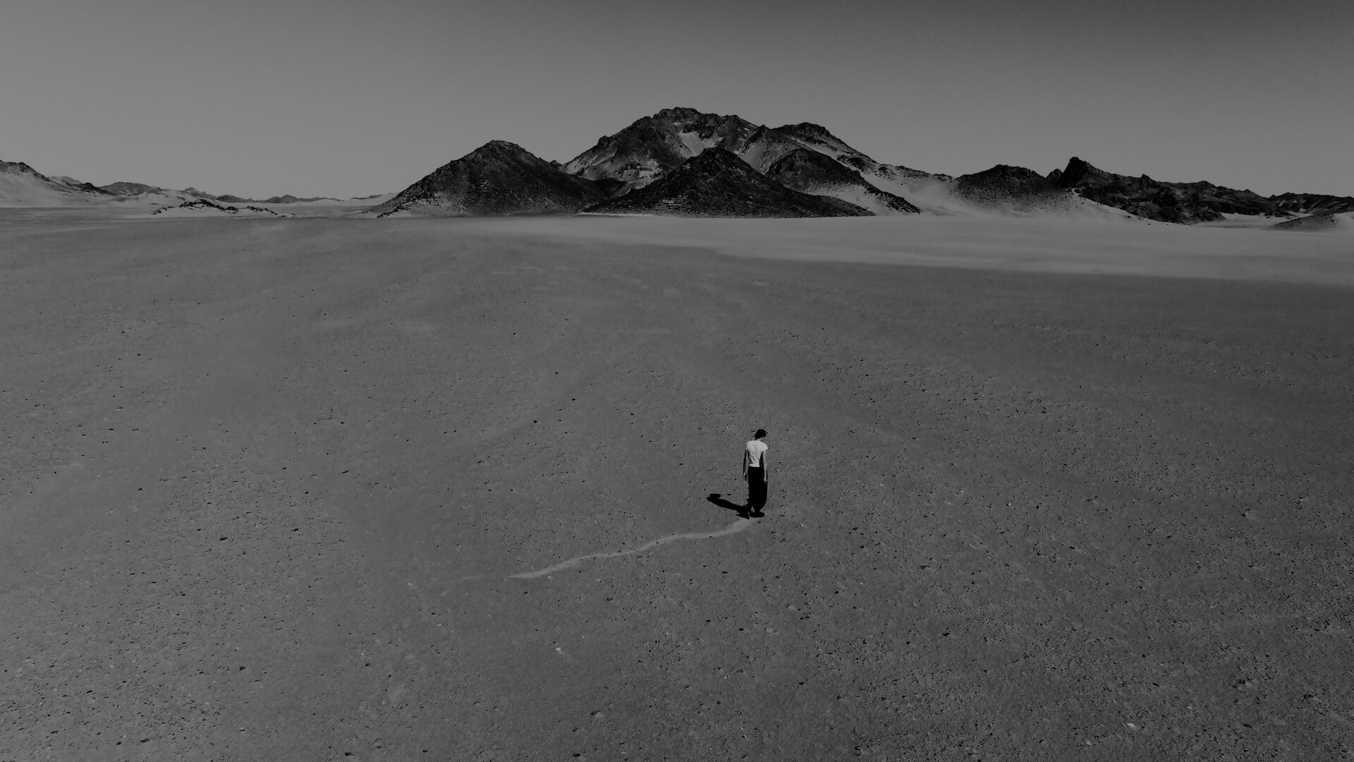 The Wick Culture - In Search of an Honest Map, 2025, Sarah Brahim. Courtesy the artist and Albion Jeune