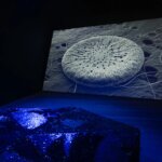 A contemporary art installation featuring an enlarged image of a fossil.