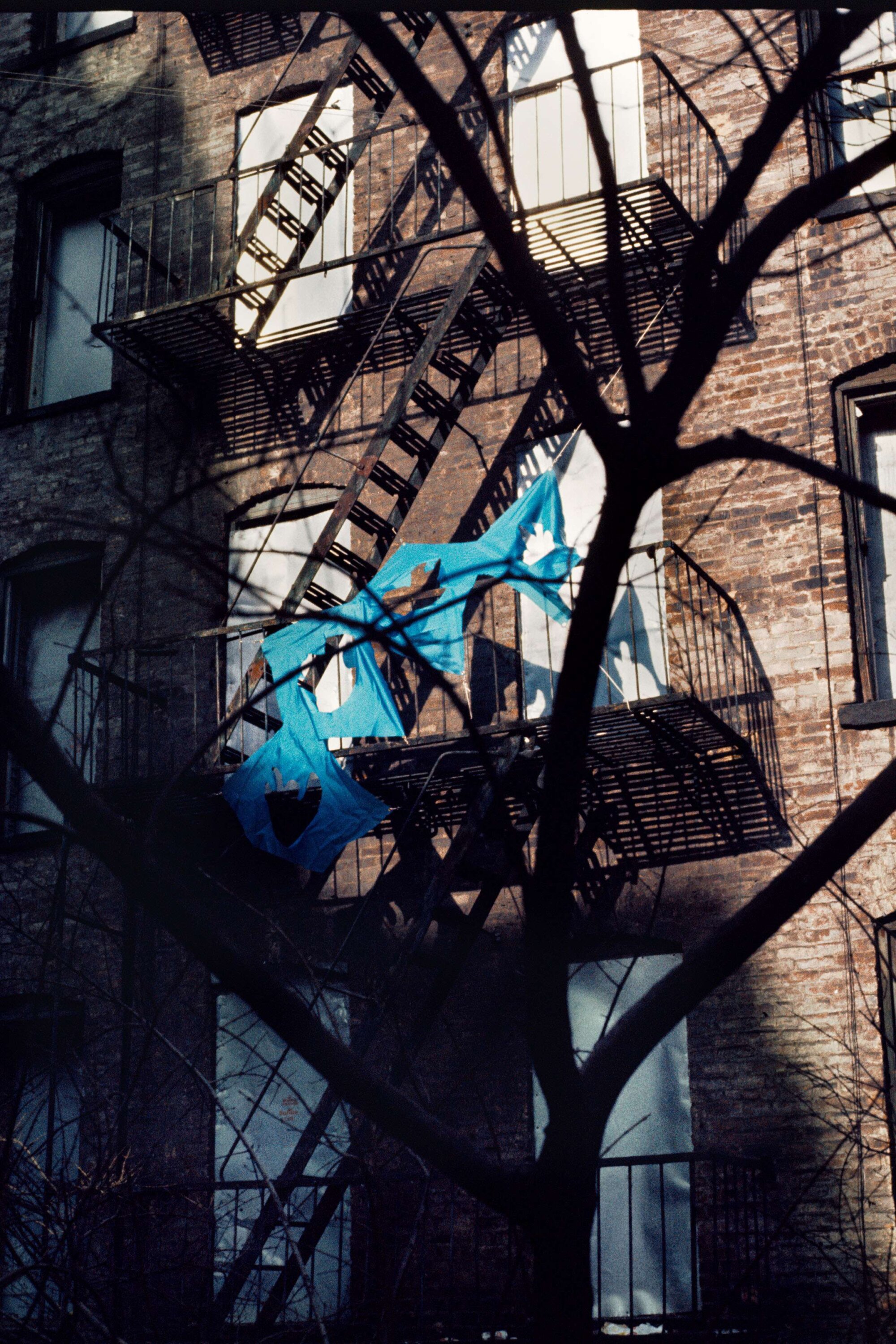 The Wick Culture - Senga Nengudi, Drifting Leaves, 1972. Courtesy of Whitechapel Gallery