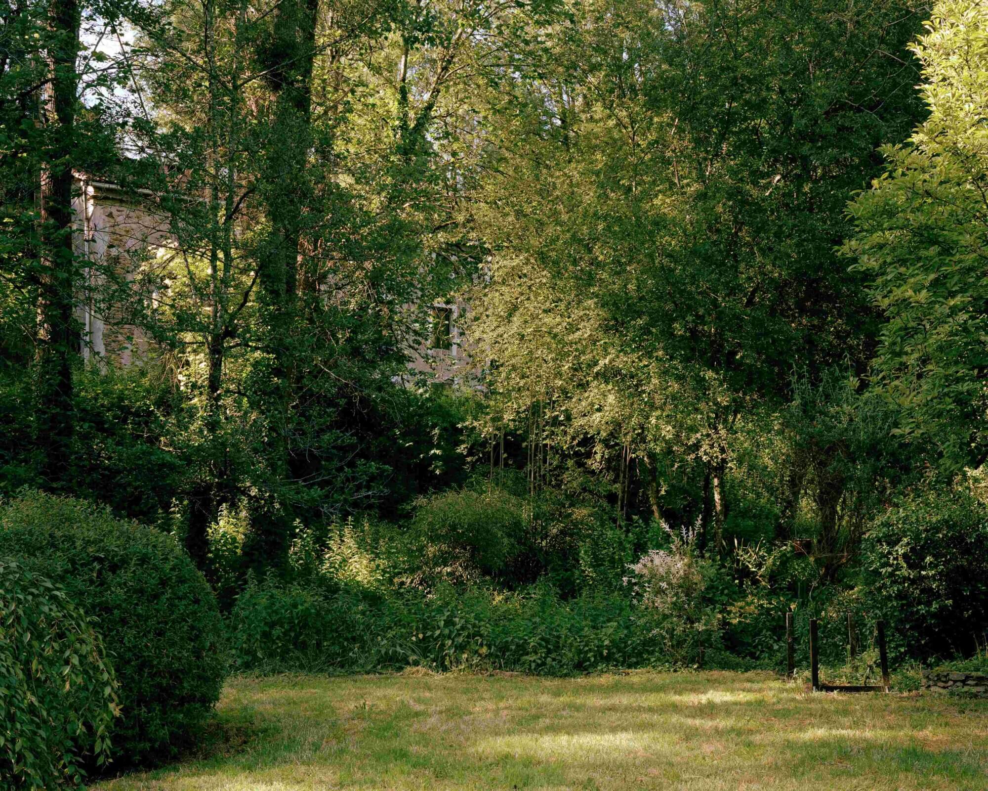 The Wick Culture - Andrew Cross, Moulin du Tail, 2024.