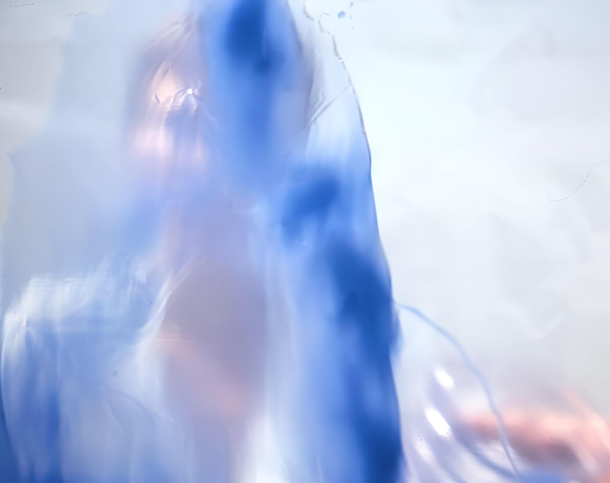 The Wick Culture - Anna Mossman, Blue Throw, 1996.