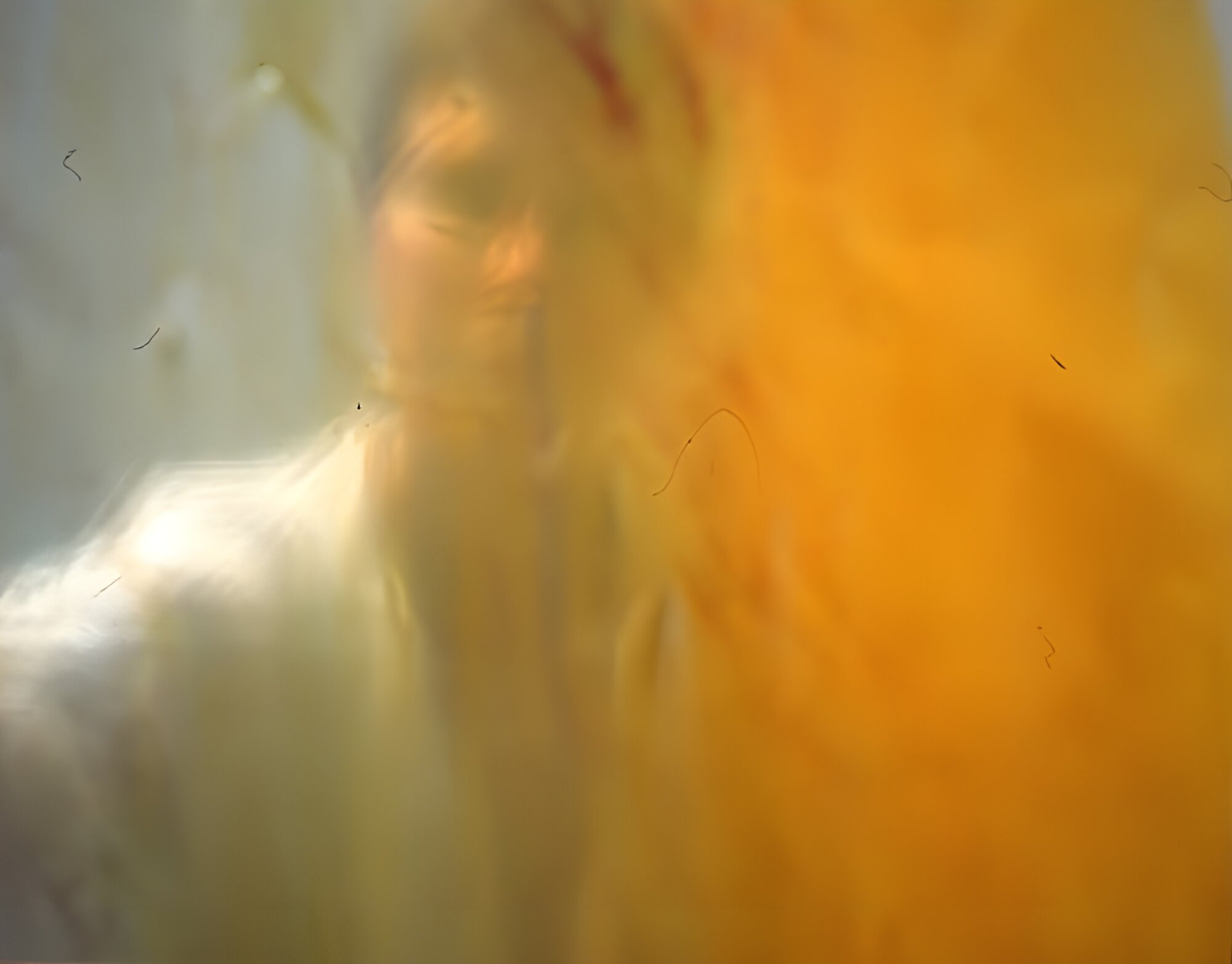 The Wick Culture - Anna Mossman, Yellow Throw, 1996.