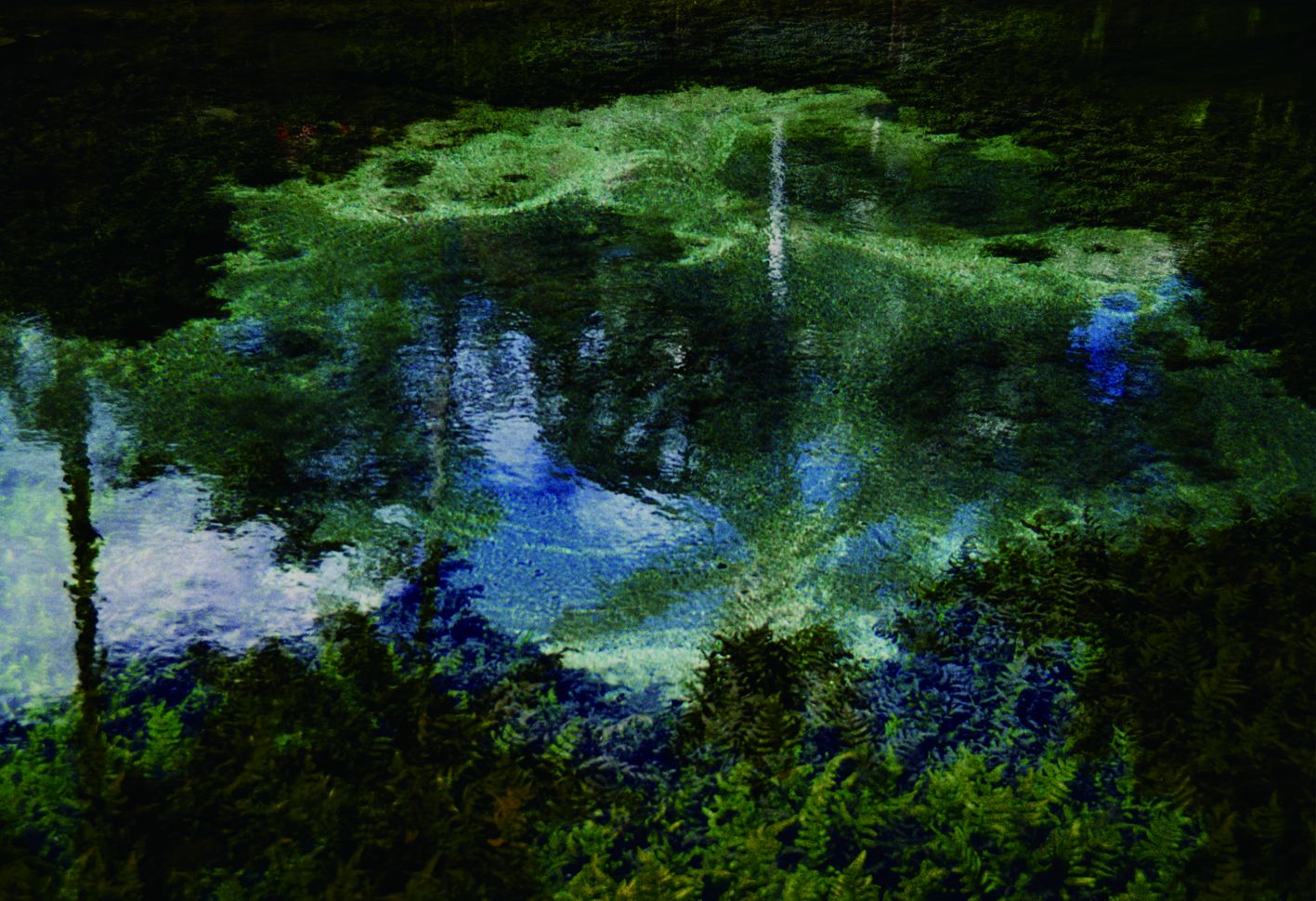 The Wick Culture - Courtesy of Asprey Studio