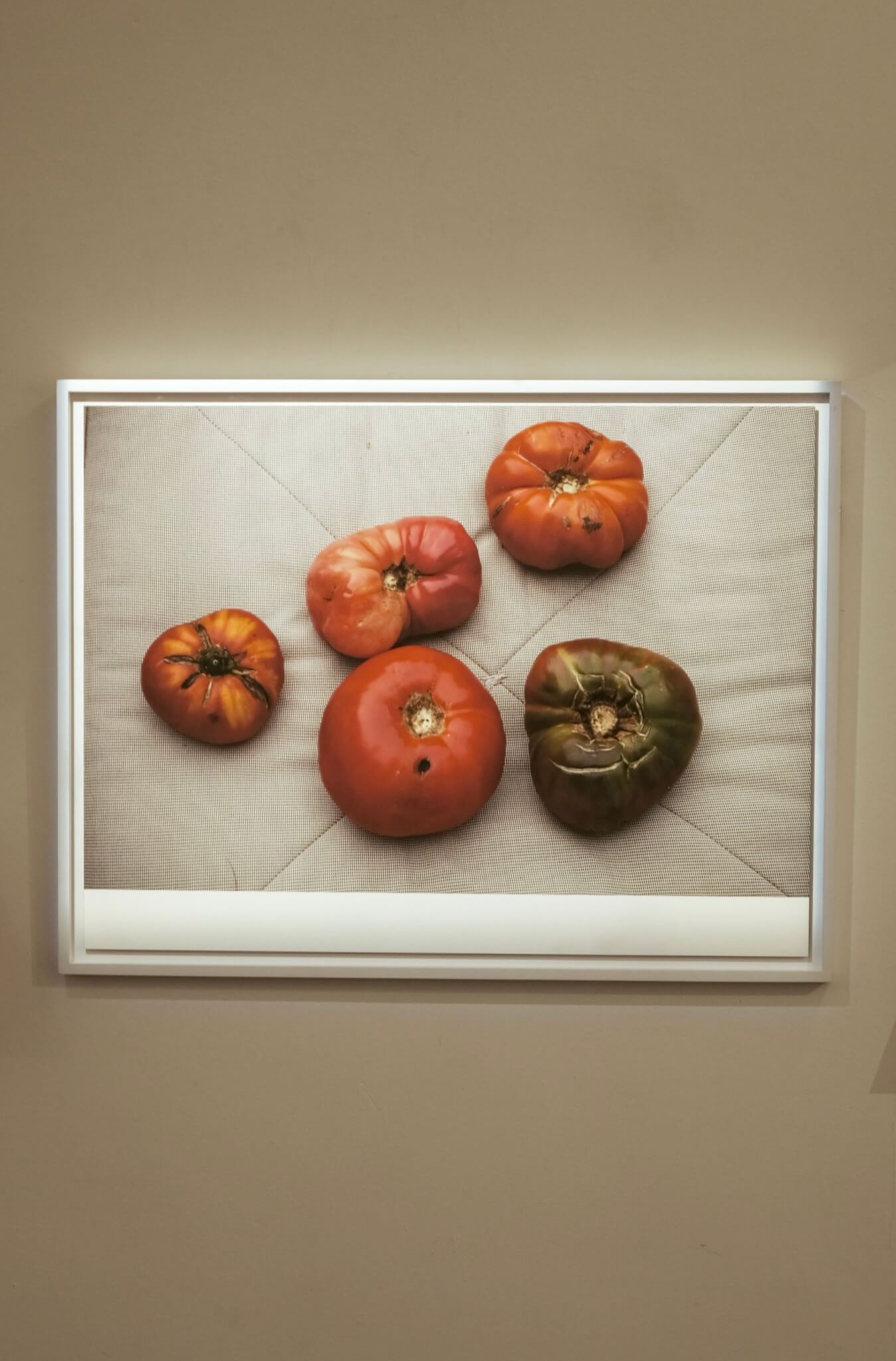 The Wick Culture - Wolfgang Tillmans, cushion, 2017