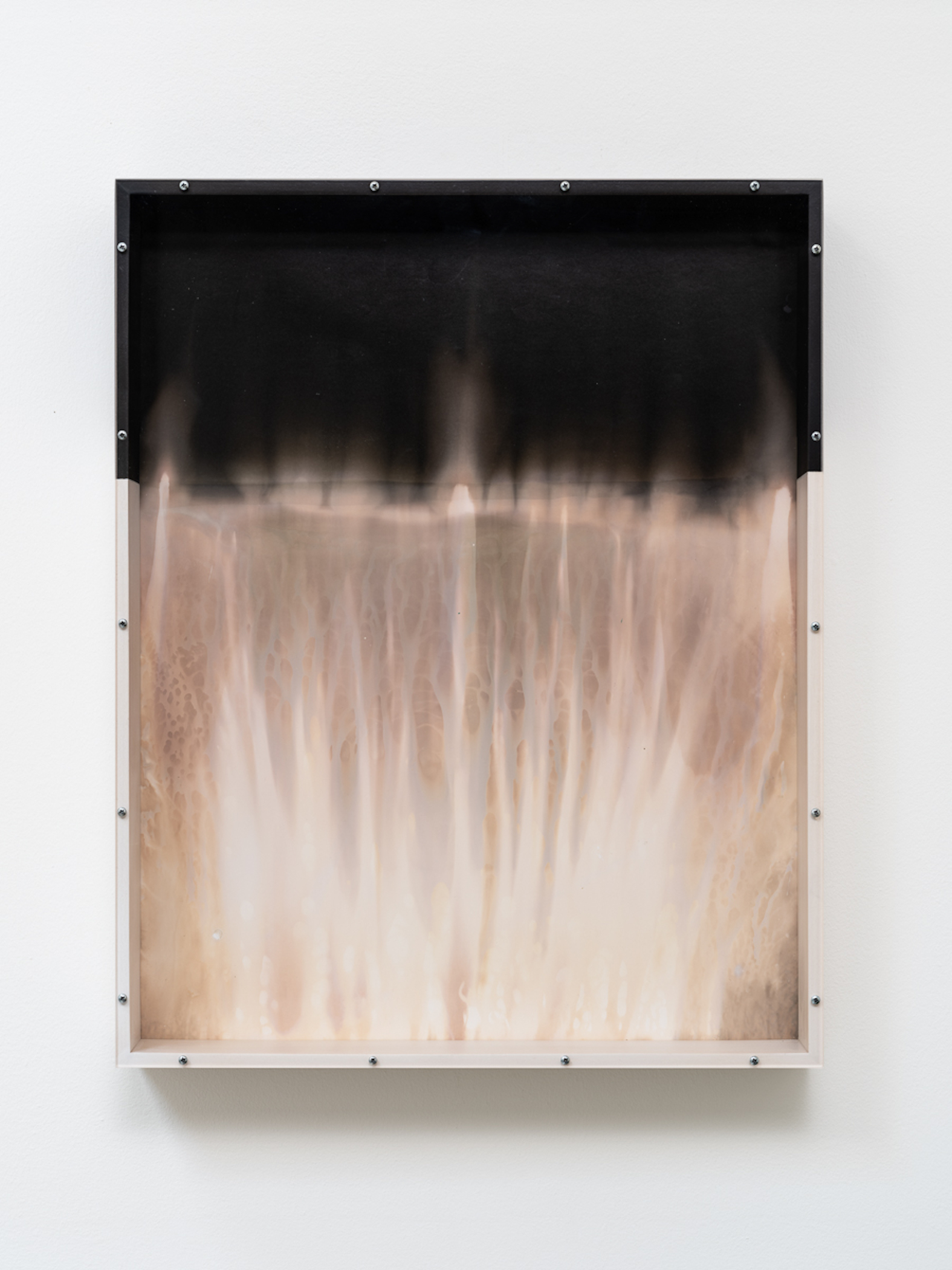 The Wick Culture - Gabriele Beveridge, Fire on the Lake, 2024