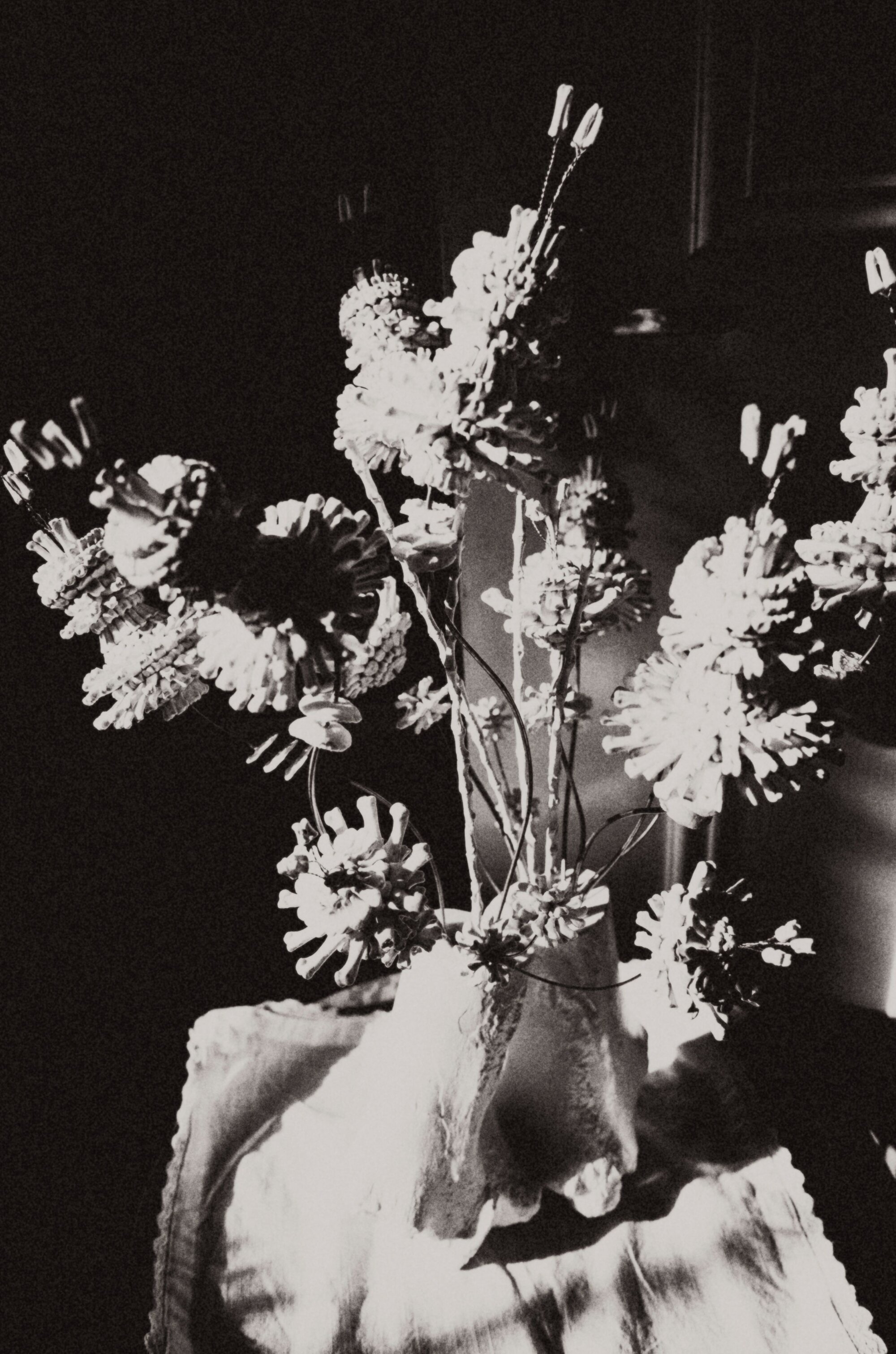 The Wick Culture - Photography by Chieska Fortune Smith