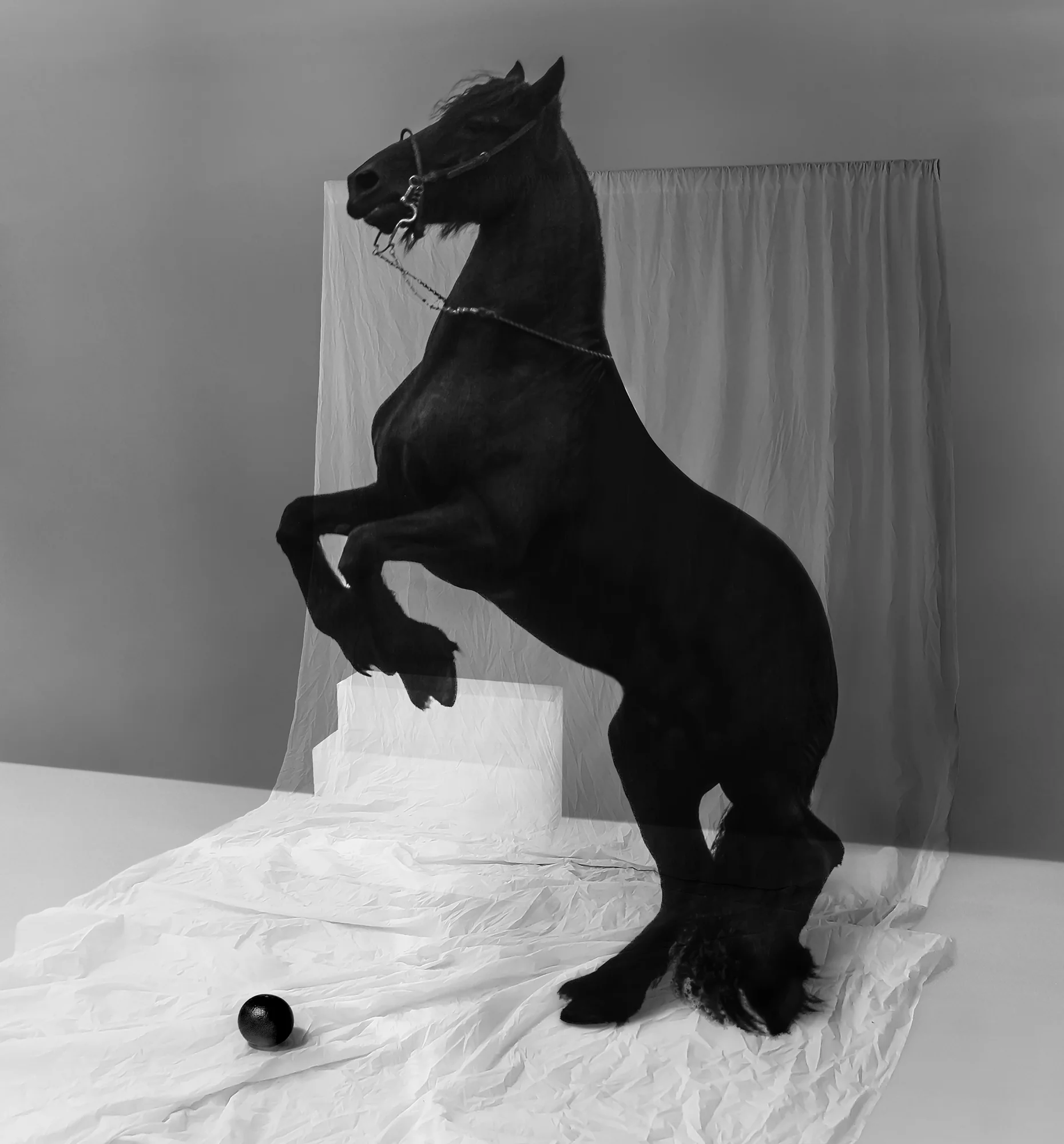 The Wick Culture - Dancing Fearless, Jorg Karg, 2020.