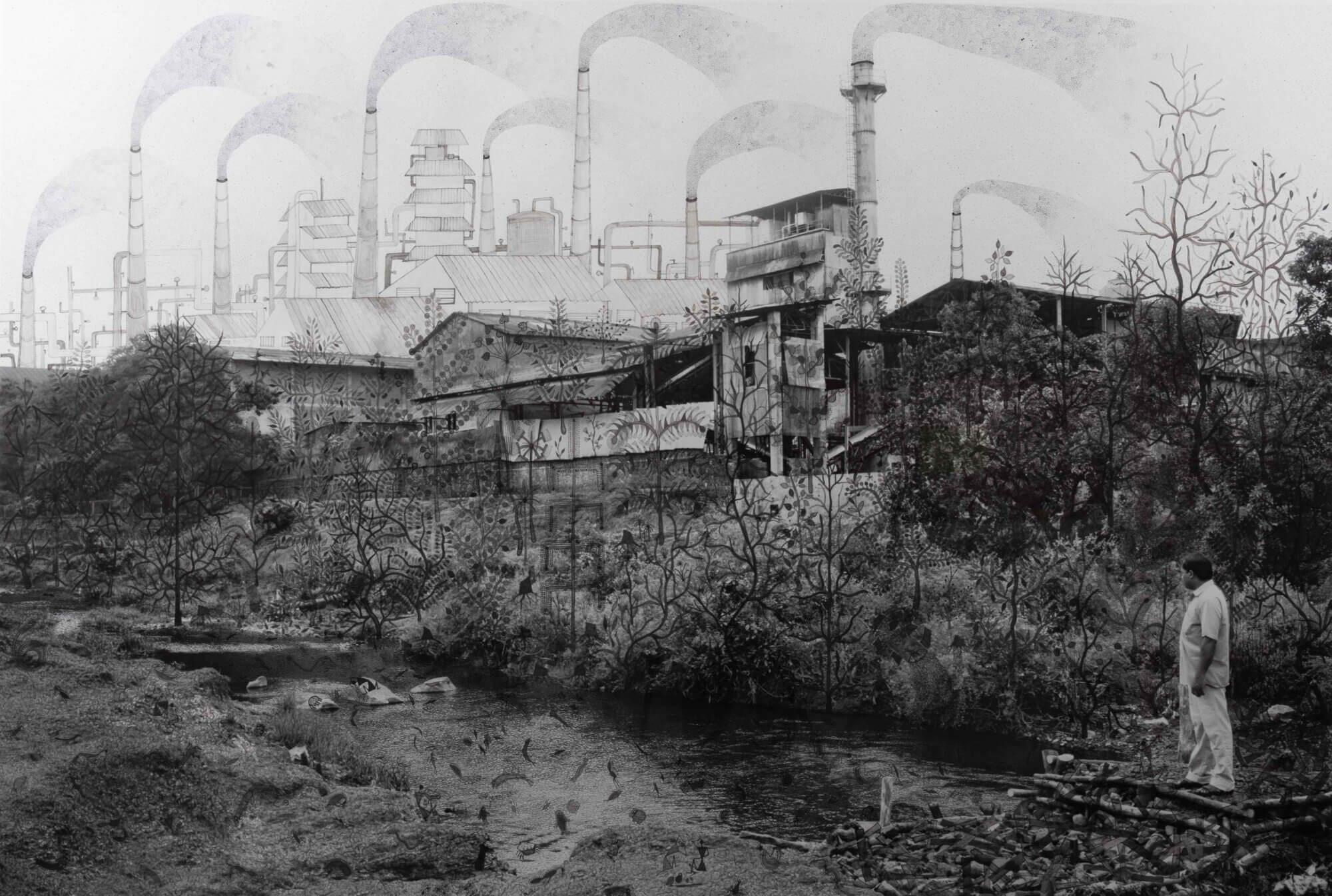 The Wick Culture - Image courtesy: Gauri Gill, Rajesh C. Vangad and KNMA 
