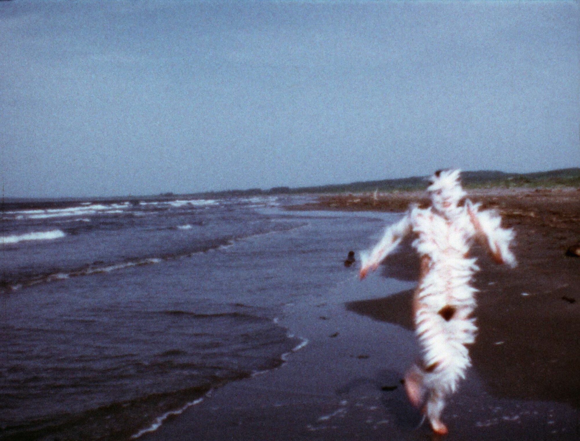 The Wick Culture - Ana Mendieta, Bird Run 1974. © The Estate of Ana Mendieta Collection, LLC. Licensed by Artist Rights Society (ARS), New York / DACS, 2026 / Courtesy Marian Goodman Gallery and Alison Jacques, London