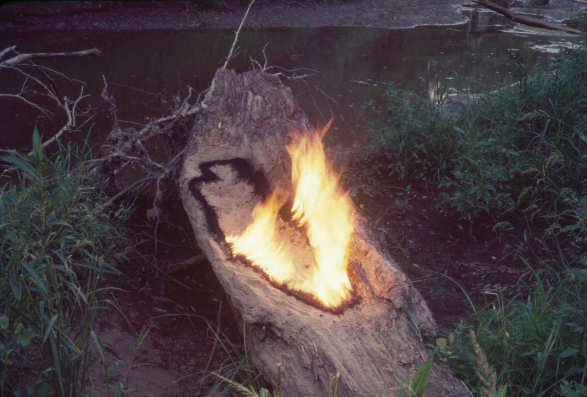 The Wick Culture - Ana Mendieta, Untitled: Silueta Series 1977. © The Estate of Ana Mendieta Collection, LLC. Licensed by Artist Rights Society (ARS), New York / DACS, 2026 / Courtesy Marian Goodman Gallery and Alison Jacques, London