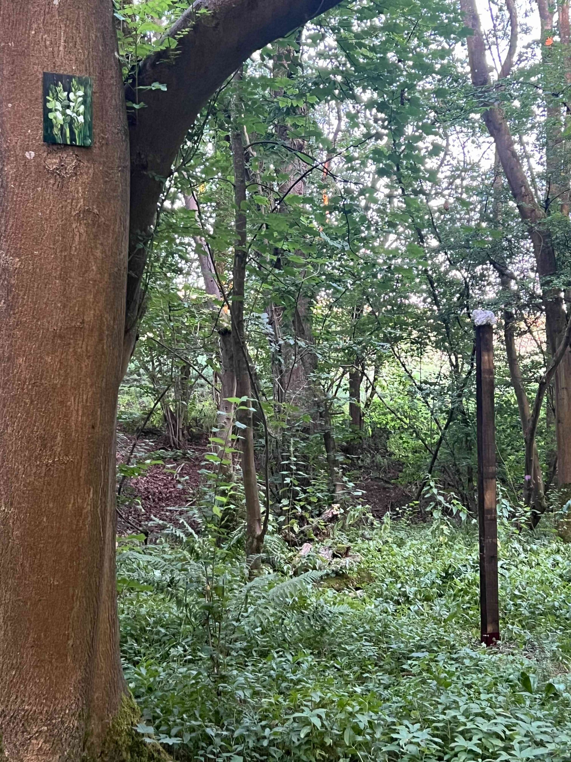 The Wick Culture - Foreground Clare Woods, The Vanished 2026, background Rachel Howard, Totem II, 2026