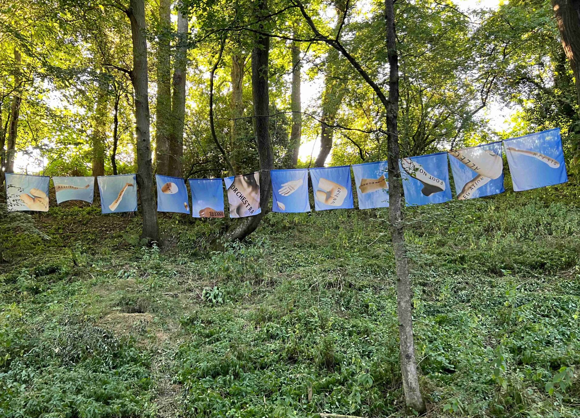 The Wick Culture - Fiona Banner aka The Vanity Press, Disarm Flag
