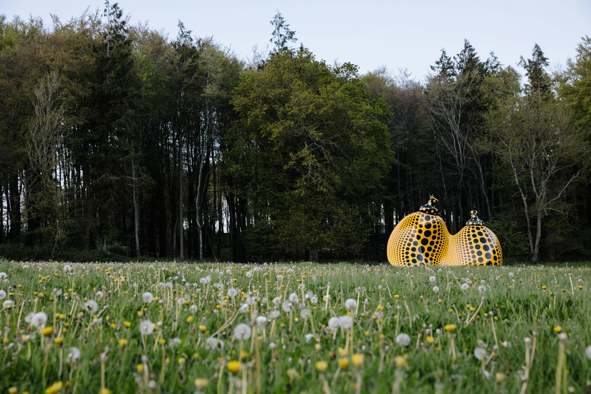 The Wick Culture - In the Landscape - Yayoi Kusama