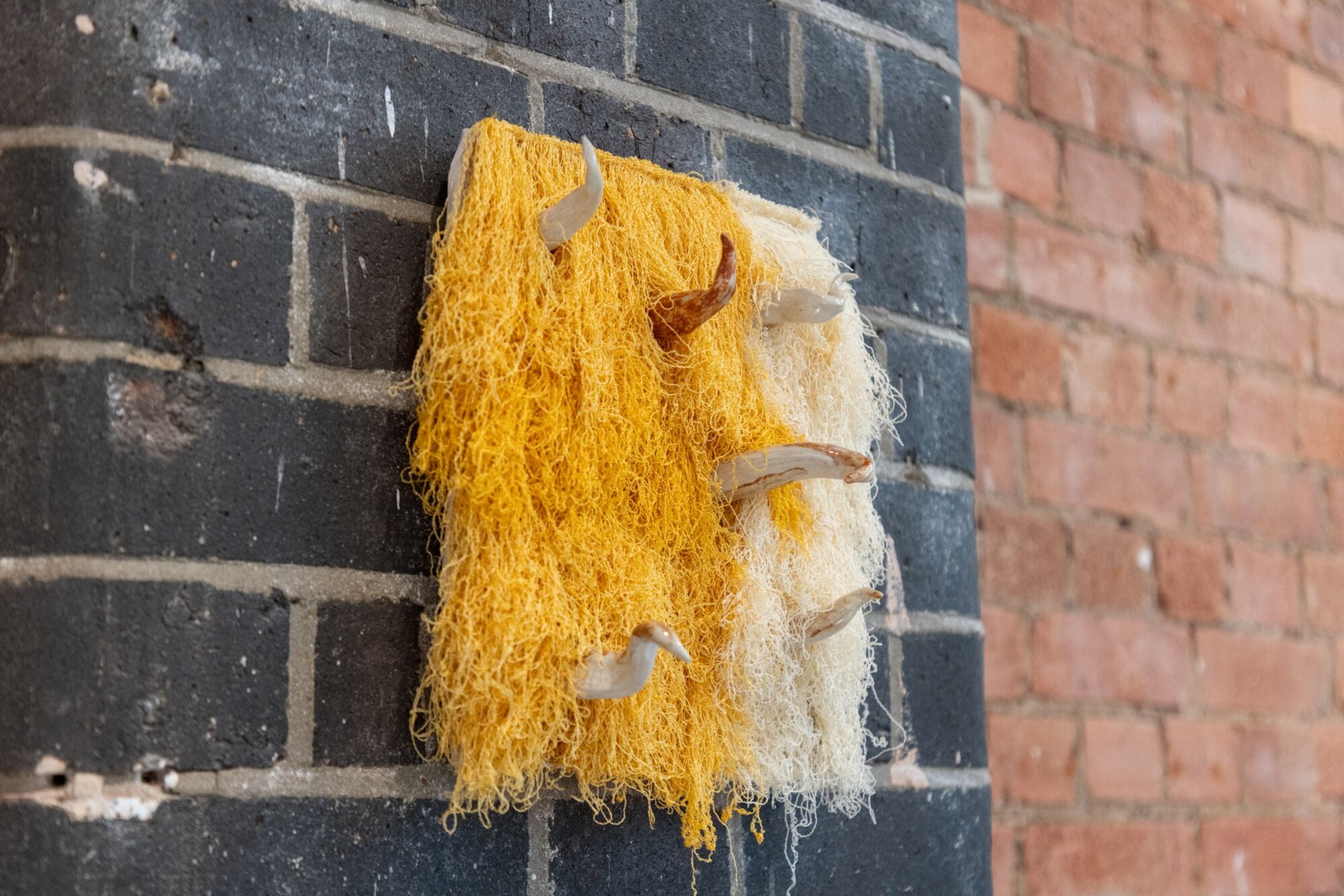 The Wick Culture - Photo: Robert Chadwick. Image courtesy of the artist and Ruup & Form