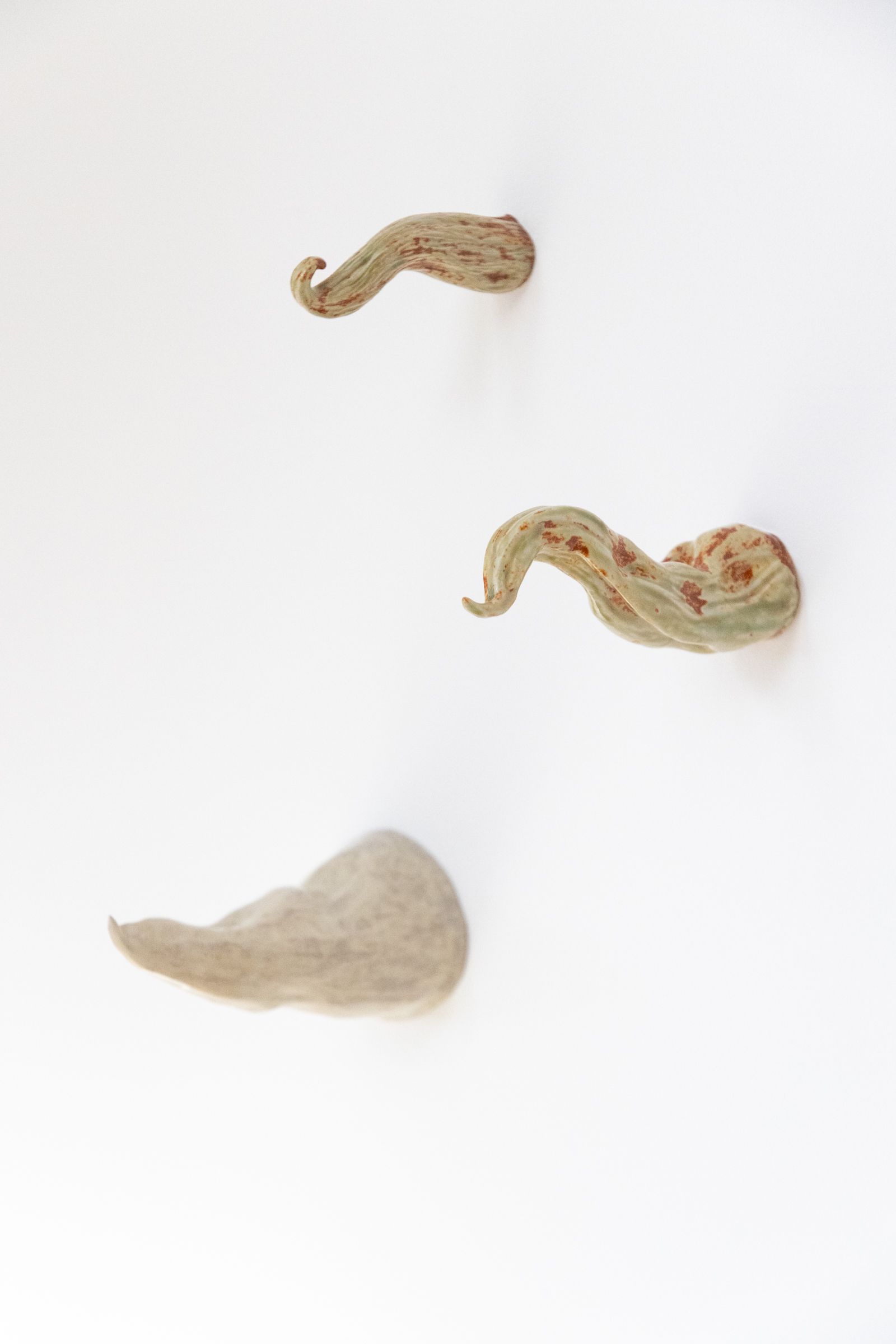 The Wick Culture - Photo: Robert Chadwick. Image courtesy of the artist and Ruup & Form