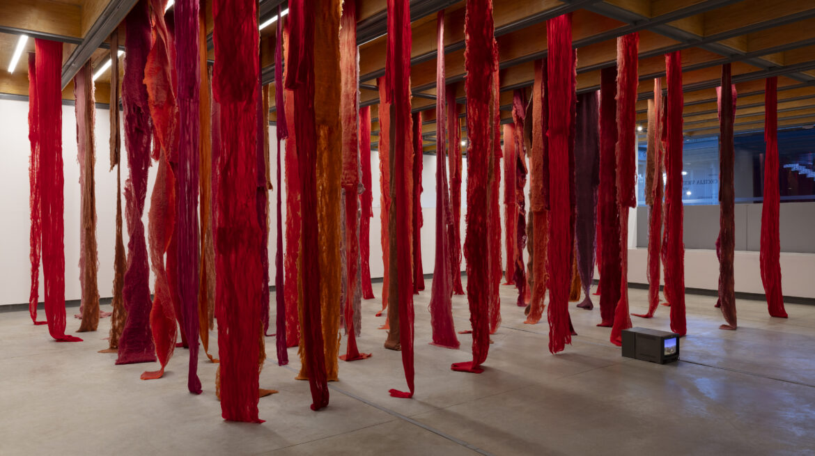 The Wick Culture - Cecilia Vicuna, Quipu menstrual 1, 2006-2024. Courtesy of the artist and Whitechapel Gallery