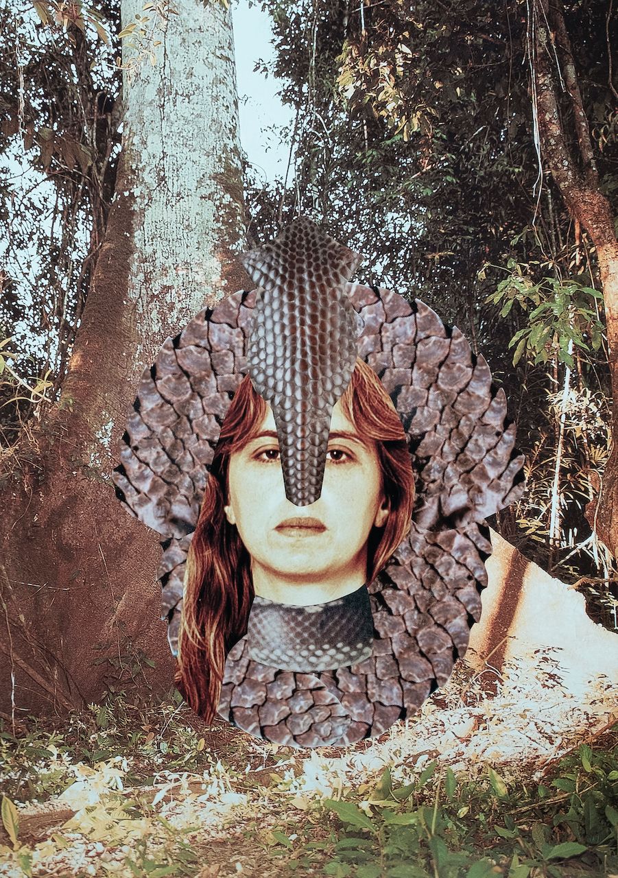The Wick Culture - Lucia Pizzani
Acorazada Guerrilla, 2020
Hand cut collage with pigment ink prints in cotton paper
59.4 x 42 cm, framed
© Lucia Pizzani, courtesy Victoria Law Projects.