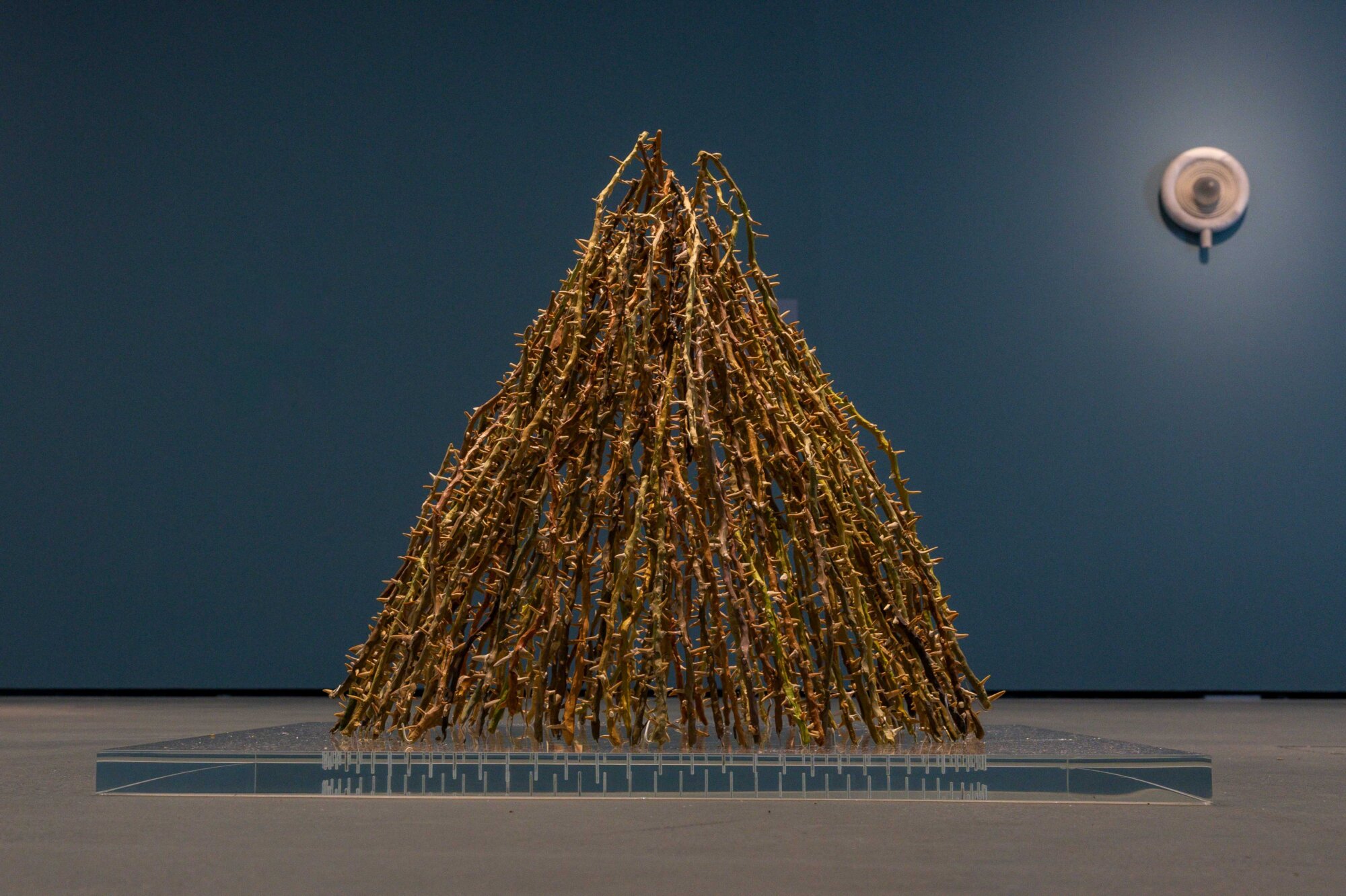The Wick Culture - Nika Neelova
Beghost, 2025-26
Fossilised prehistoric shark teeth, 250 hand painted clay stems, acrylic pedestal
Footprint dimensions: 1m x 1m
Credits: Nika Neelova. Cascade, Museum der Moderne Salzburg, 2025 © Museum der Moderne Salzburg. Photography: Herbert Rohrer.